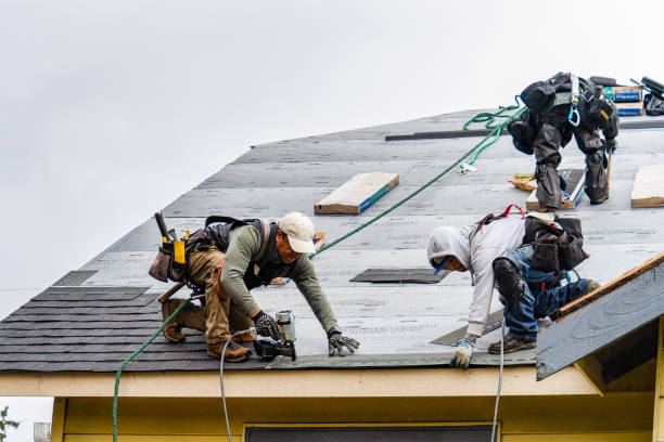 Professional Storm Damage Roof Repair technician working in High Ridge, MO